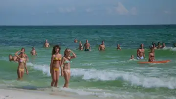 Backdrop to the movie "Jaws 2" #1199698
