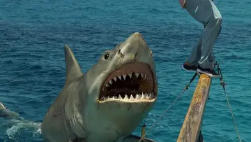 Backdrop to the movie "Jaws: The Revenge" #376458