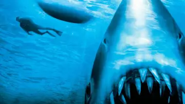 Backdrop to the movie "Jaws: The Revenge" #871231