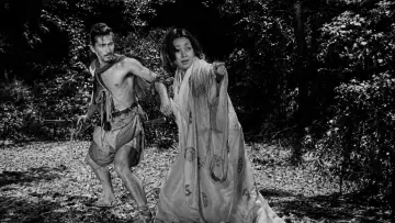 Backdrop to the movie "Rashomon" #964351