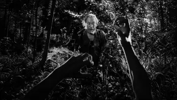 Backdrop to the movie "Rashomon" #964353