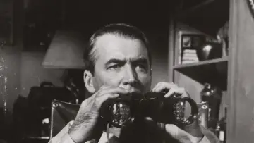Backdrop to the movie "Rear Window" #961742