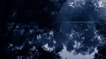 Backdrop to the movie "Solaris" #185196