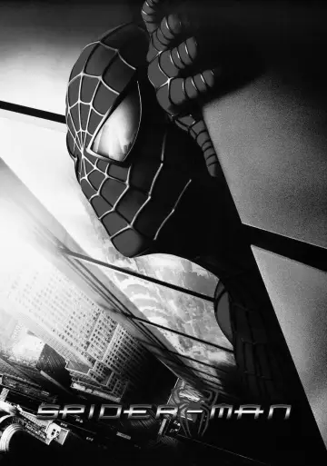 Poster to the movie "Spider-Man" #910667