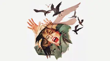 Backdrop to the movie "The Birds" #677190