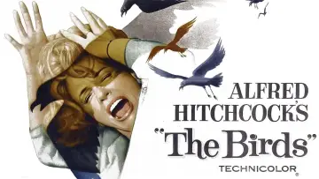 Backdrop to the movie "The Birds" #677192