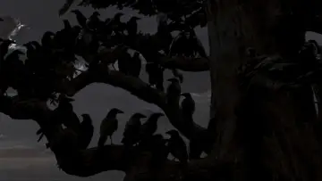 Backdrop to the movie "The Birds" #677196