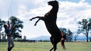 Backdrop to the movie "The Horse Whisperer" #882012