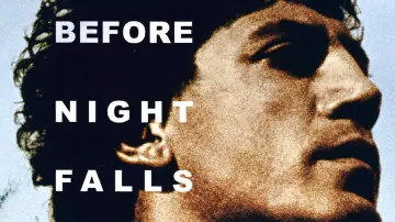 Backdrop to the movie "Before Night Falls" #1098011