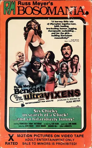 Poster to the movie "Beneath the Valley of the Ultra-Vixens" #1087754