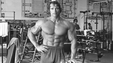 Backdrop to the movie "Pumping Iron" #408201