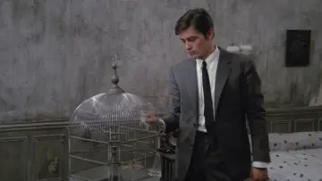 Backdrop to the movie "Le Samouraï" #722697