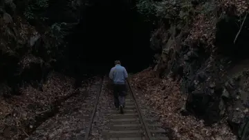 Backdrop to the movie "The Fugitive" #1179511