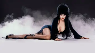 Backdrop to the movie "Elvira, Mistress of the Dark" #278259