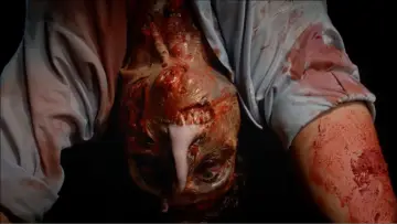 Backdrop to the movie "Biohazard" #1129456
