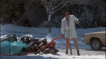 Backdrop to the movie "National Lampoon