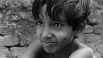 Backdrop to the movie "Pather Panchali" #180086