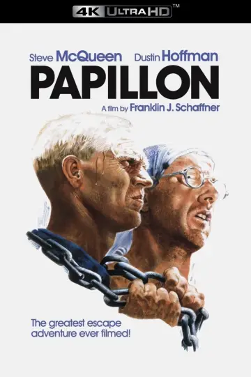 Poster to the movie "Papillon" #753229