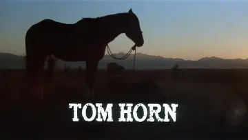Backdrop to the movie "Tom Horn" #1099636