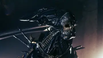 Backdrop to the movie "Aliens" #571277