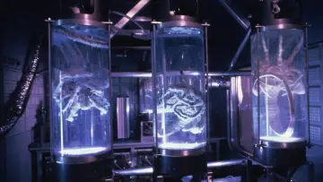 Backdrop to the movie "Aliens" #571326