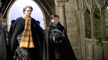 Backdrop to the movie "Harry Potter and the Goblet of Fire" #829959