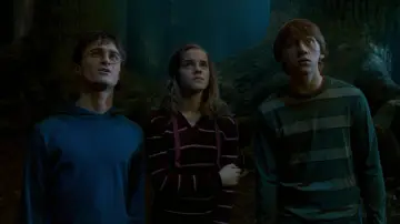 Backdrop to the movie "Harry Potter and the Order of the Phoenix" #831061