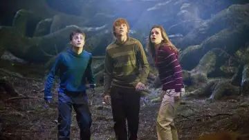 Backdrop to the movie "Harry Potter and the Order of the Phoenix" #959880