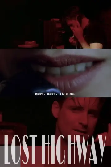 Poster to the movie "Lost Highway" #1207699