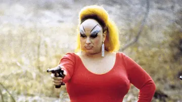 Backdrop to the movie "Pink Flamingos" #612036