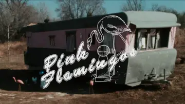 Backdrop to the movie "Pink Flamingos" #612040