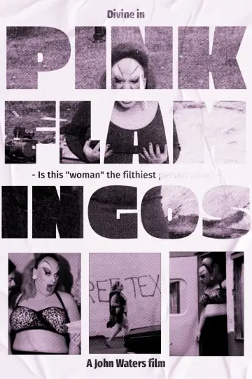 Poster to the movie "Pink Flamingos" #612077