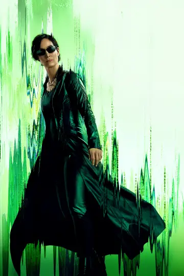 Poster to the movie "The Matrix Reloaded" #591878