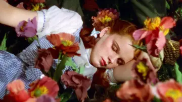 Backdrop to the movie "The Wizard of Oz" #523851