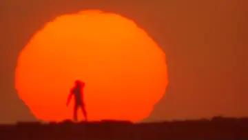 Backdrop to the movie "THX 1138" #900448