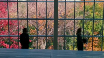 Backdrop to the movie "When Harry Met Sally..." #665180