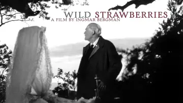 Backdrop to the movie "Wild Strawberries" #693414