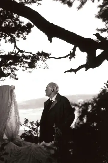 Poster to the movie "Wild Strawberries" #693428