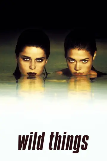 Poster to the movie "Wild Things" #675080