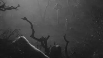 Backdrop to the movie "Bram Stoker