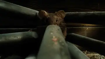 Backdrop to the movie "MouseHunt" #853942