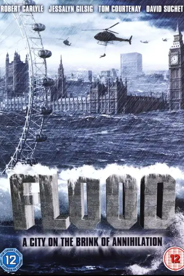 Poster to the movie "Flood" #897569