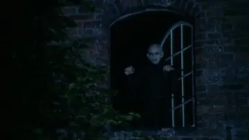 Backdrop to the movie "Nosferatu the Vampyre" #896864