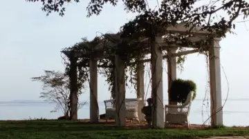 Backdrop to the movie "Practical Magic" #697219