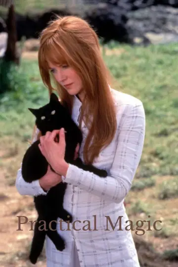 Poster to the movie "Practical Magic" #919094