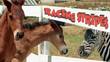 Backdrop to the movie "Racing Stripes" #868457