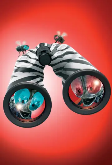Poster to the movie "Racing Stripes" #868480