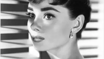 Backdrop to the movie "Sabrina" #689661