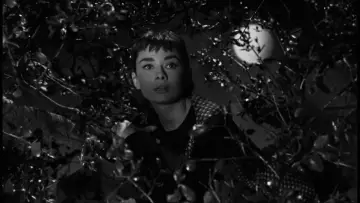 Backdrop to the movie "Sabrina" #868794