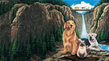 Backdrop to the movie "Homeward Bound: The Incredible Journey" #444948